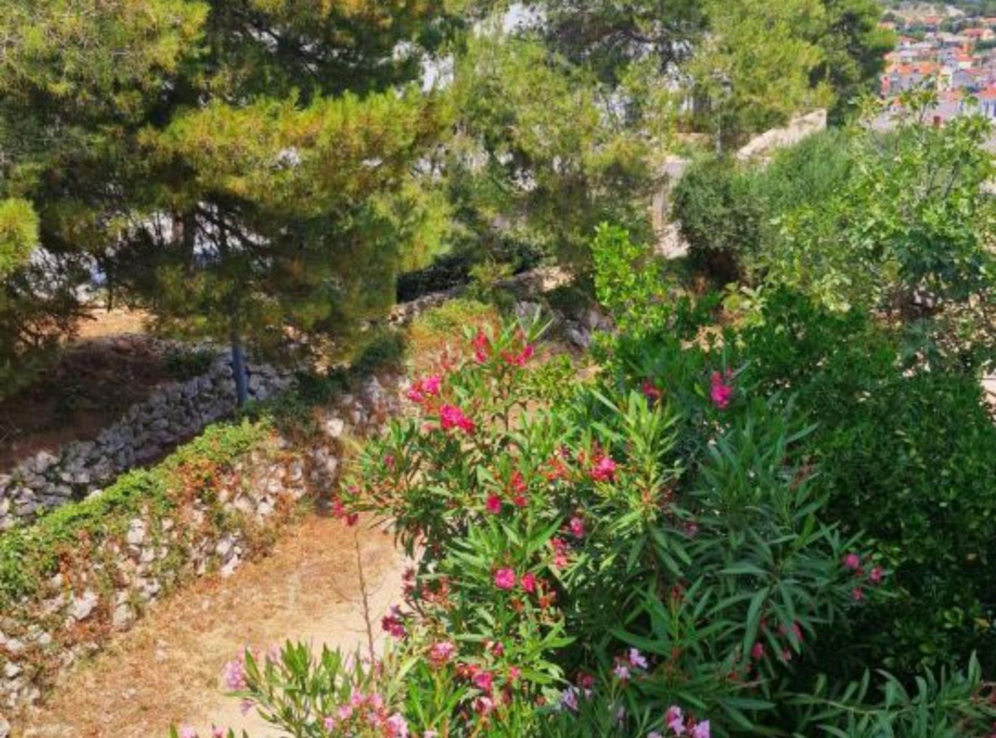 Pansion Belvedere Mali Lošinj Zewnętrze zdjęcie